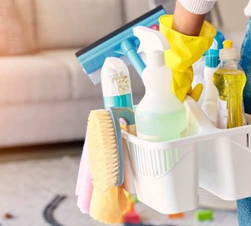 Cleaning,,Hand,And,Basket,Of,Cleaning,Supplies,For,Family,Home